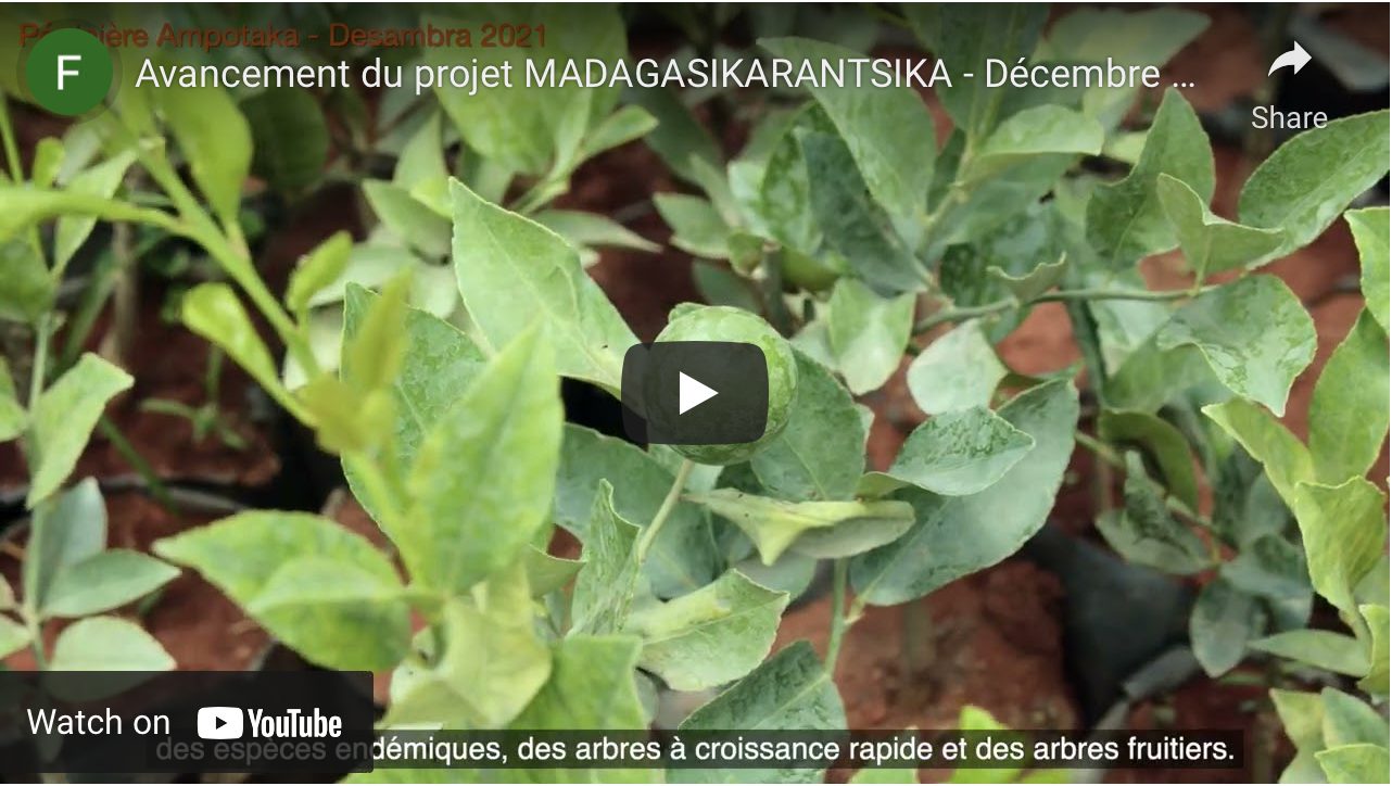 Vidéo sur l’avancement du projet MADAGASIKARANTSIKA à Ampotaka – Déc 21